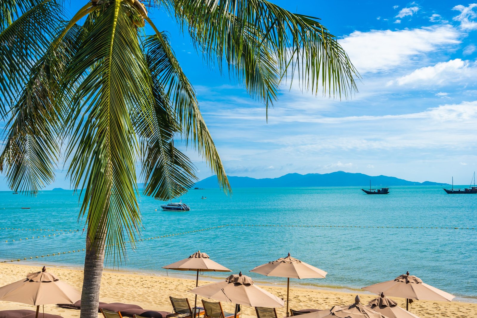 Beautiful tropical beach sea and ocean with coconut palm tree  and umbrella and chair on blue sky and white cloud for holiday vacation travel