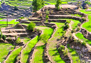 uttrakhand